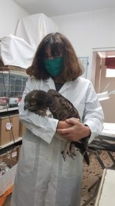 Εικόνα άρθρου