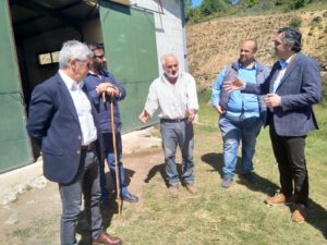 Εικόνα άρθρου