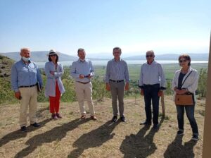 Εικόνα άρθρου