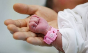 Εικόνα άρθρου