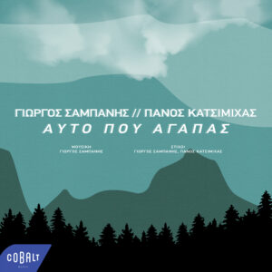 Εικόνα άρθρου