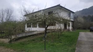 Εικόνα άρθρου