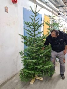 Εικόνα άρθρου