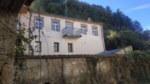 Εικόνα άρθρου