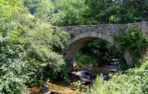 Εικόνα άρθρου