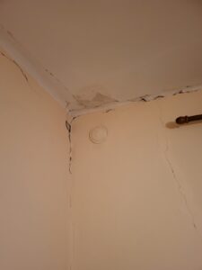 Εικόνα άρθρου