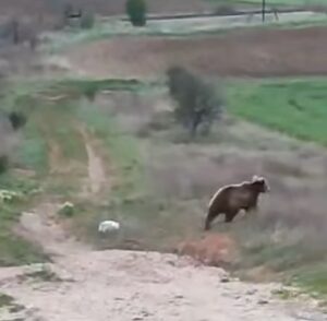 Εικόνα άρθρου