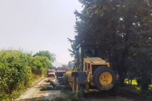 Εικόνα άρθρου