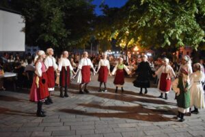 8η Γιορτή Παραδοσιακών Χορών (4) (custom)