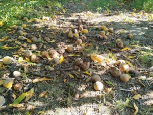 Εικόνα άρθρου