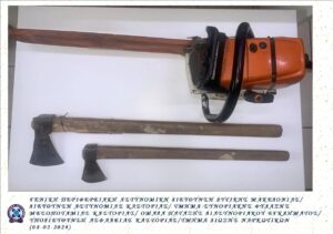 Εικόνα άρθρου