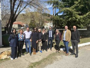 Εικόνα άρθρου