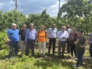 Εικόνα άρθρου