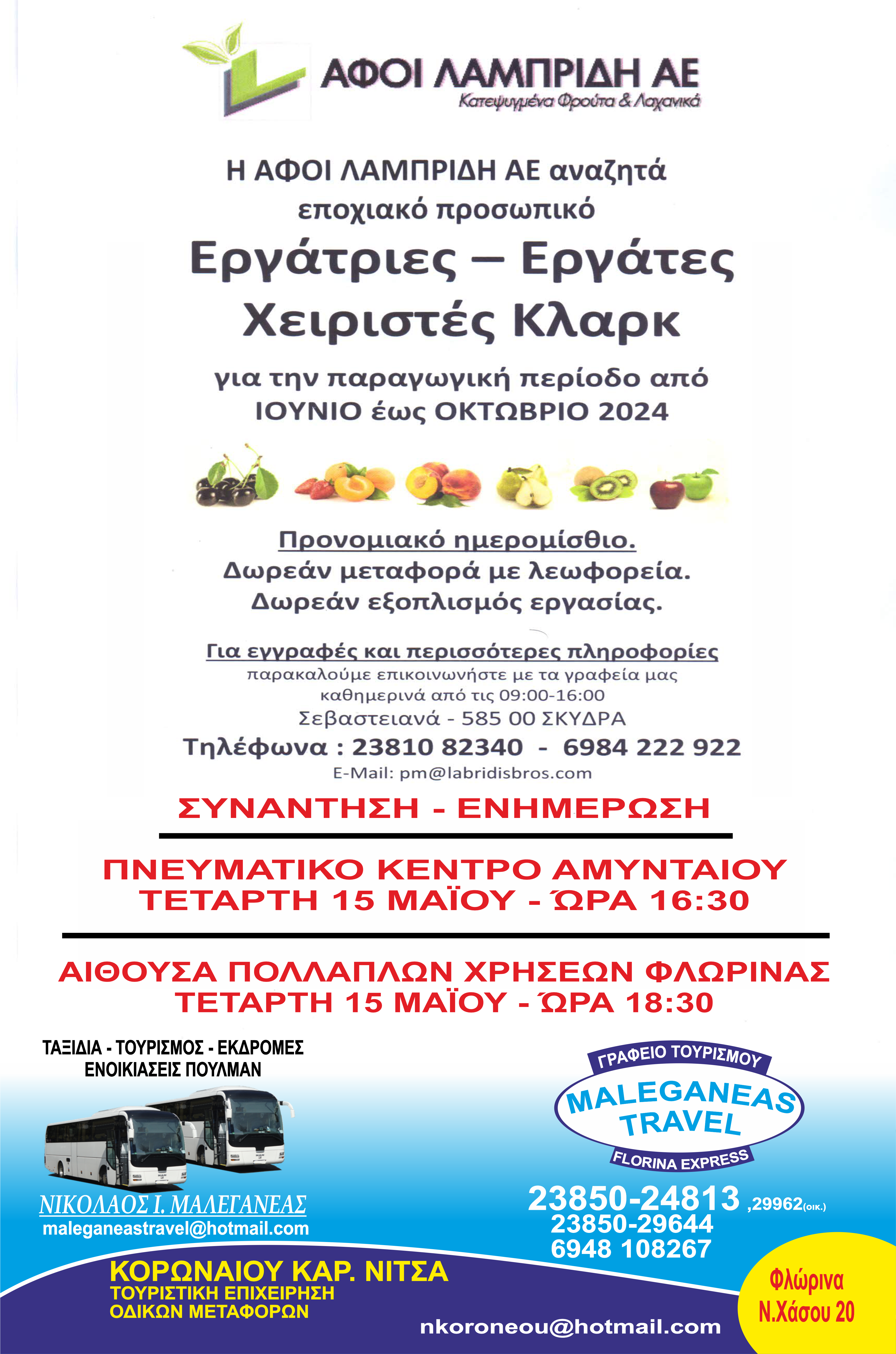 Aggelia Ergasias Lampridis 2024