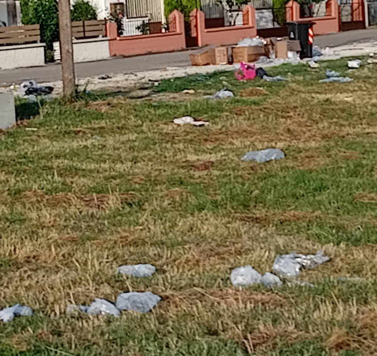 D Kastorias Emporopanhgyri Dispylioy (5)