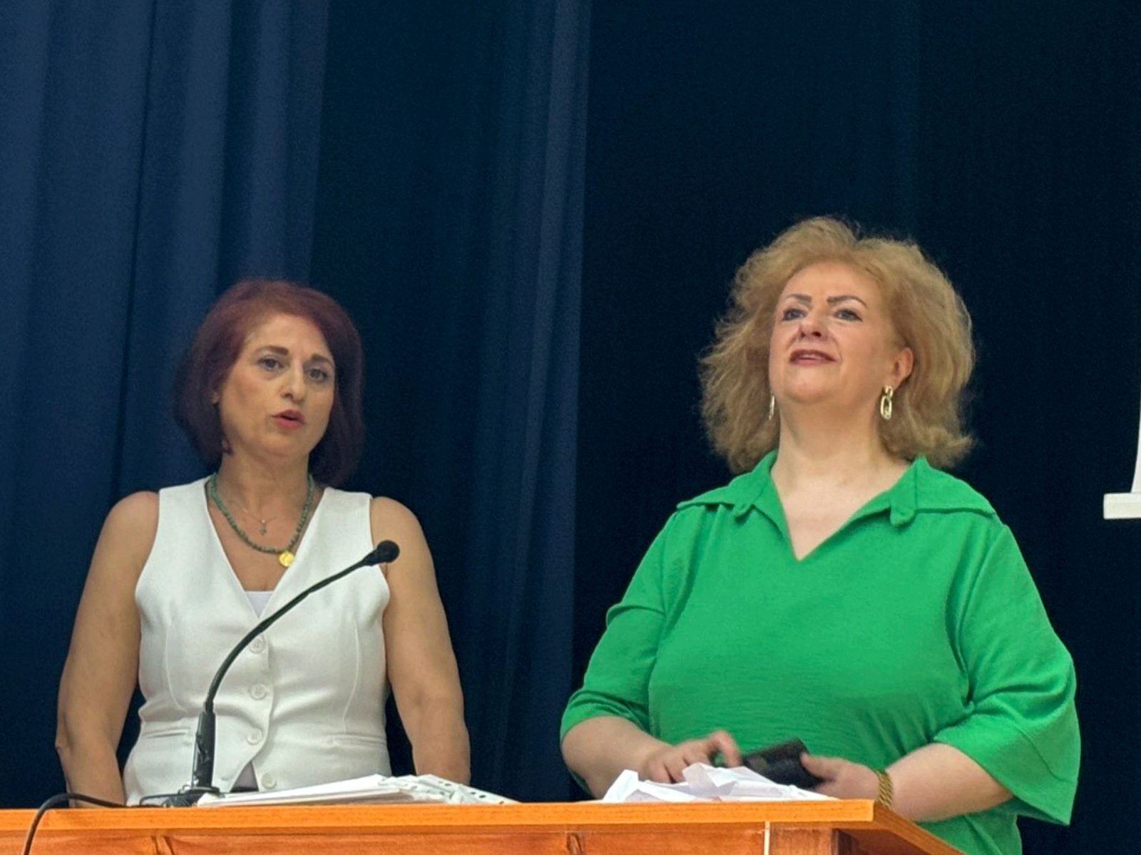 Florina Katharos Dhmos Pe Florinas (11)