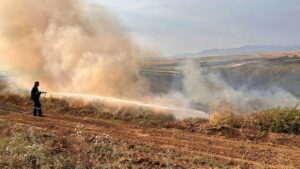 Εικόνα άρθρου