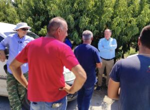 Εικόνα άρθρου