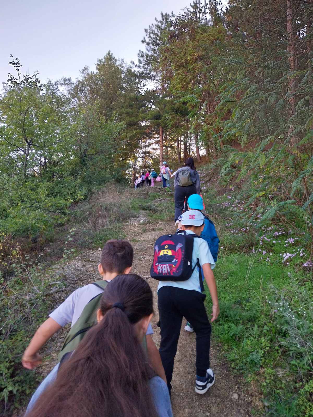 6o Dhmotiko Florinas (1)