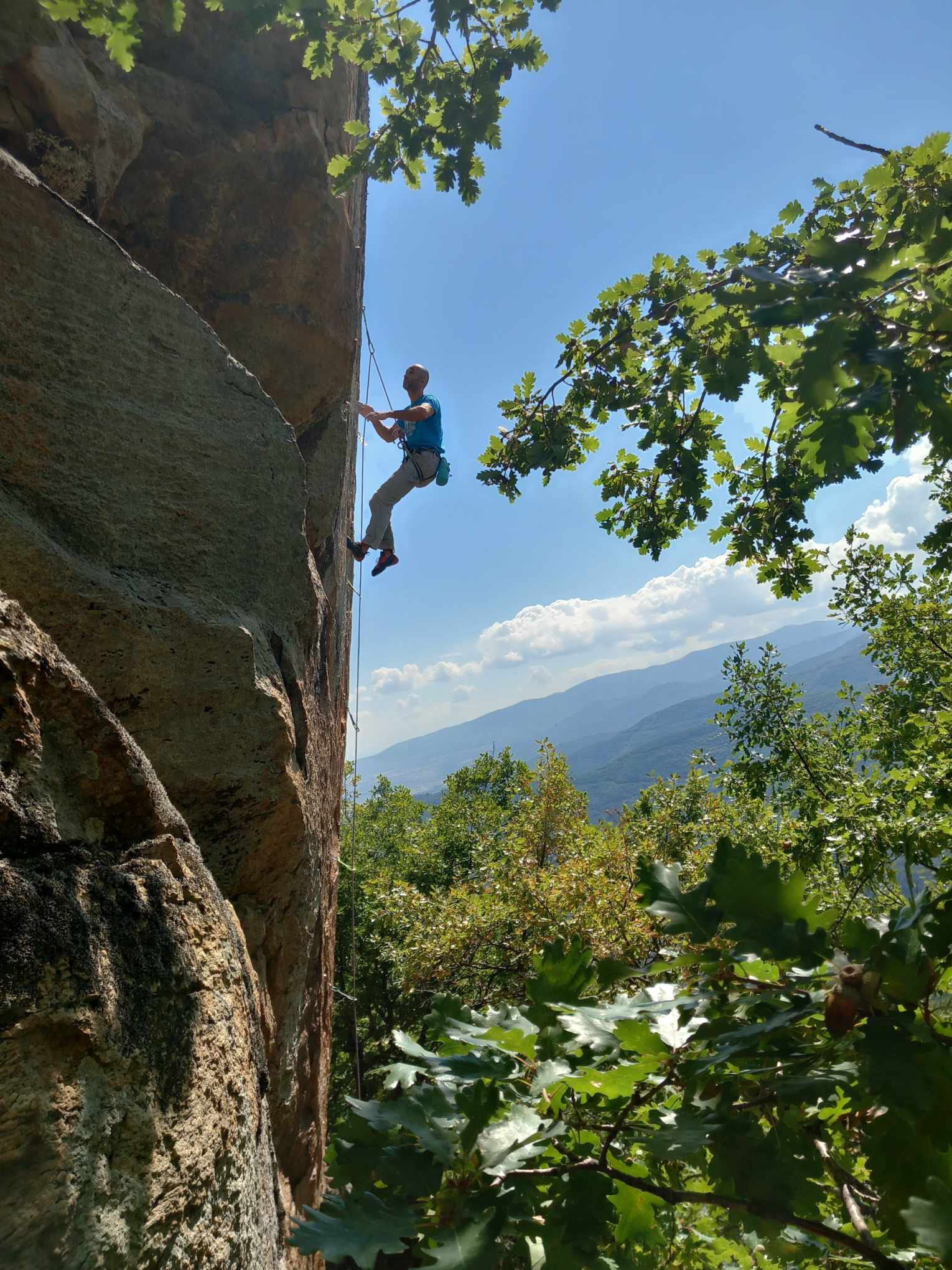 Foof Trihmero 092024 (15)