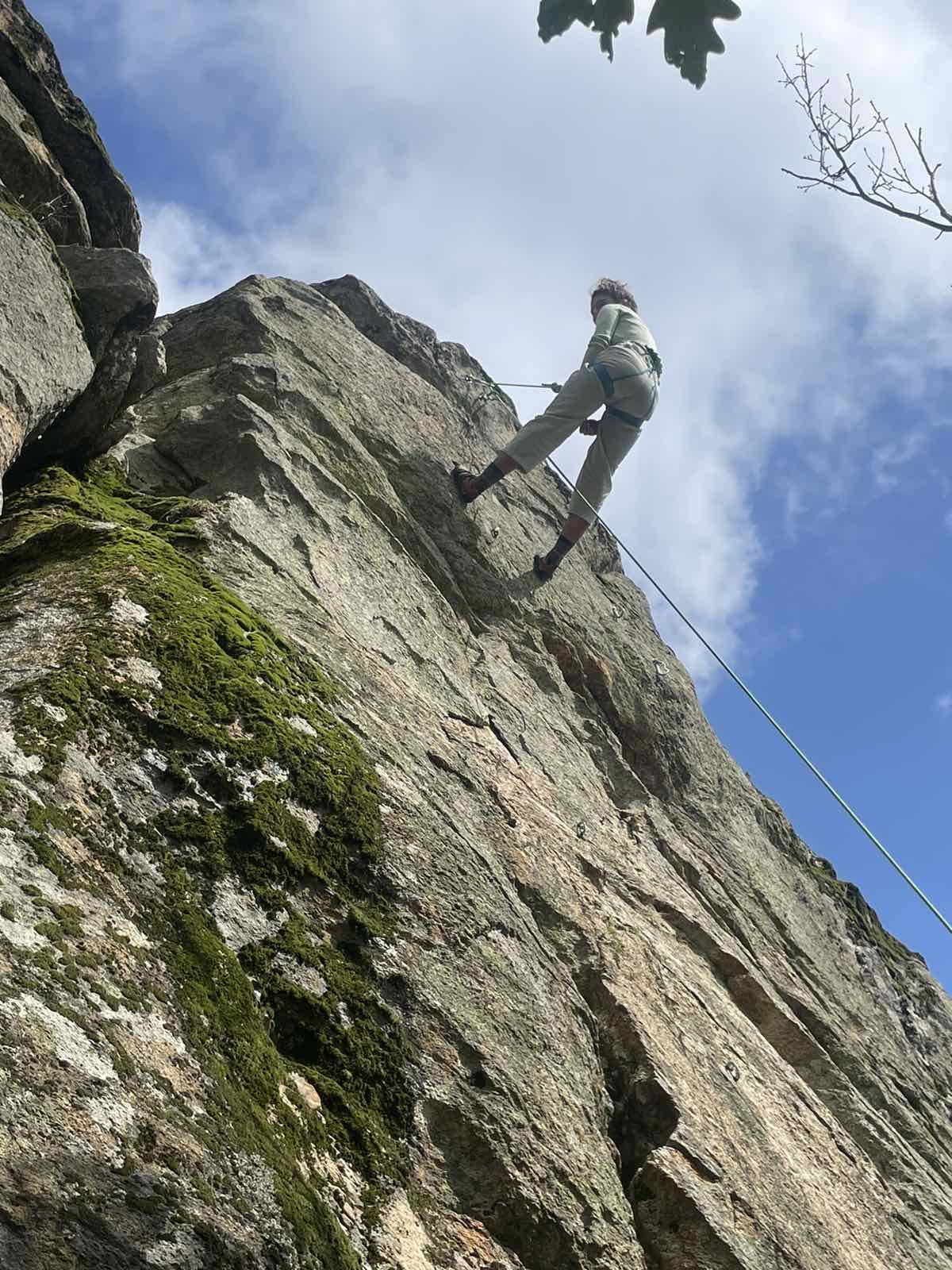 Foof Trihmero 092024 (17)