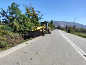 Εικόνα άρθρου