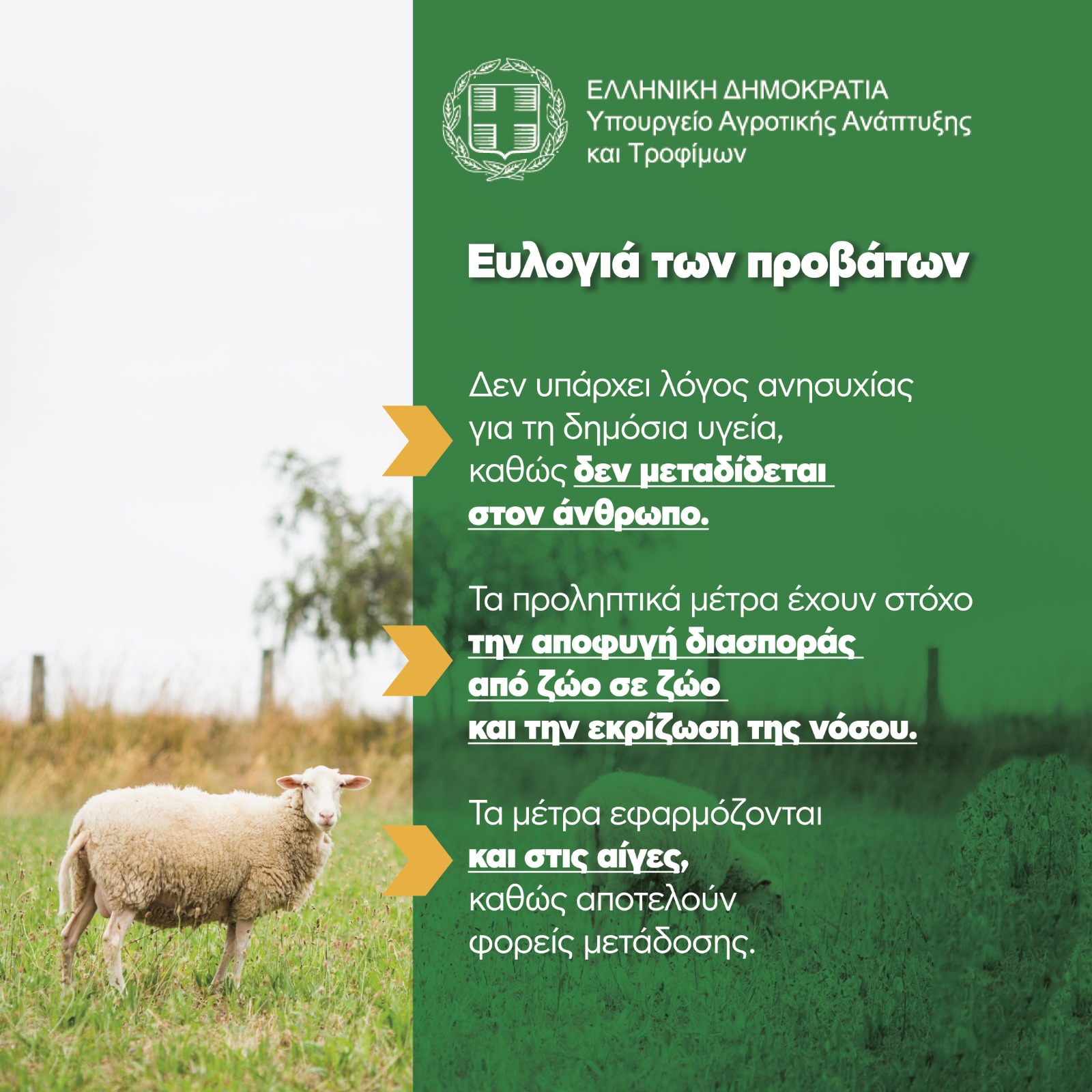 Ypaat Evlogia 2024 Odigies (1)