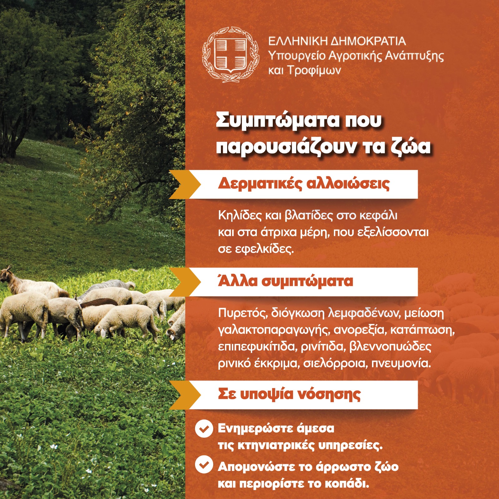 Ypaat Evlogia 2024 Odigies (3)