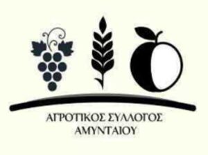 Εικόνα άρθρου