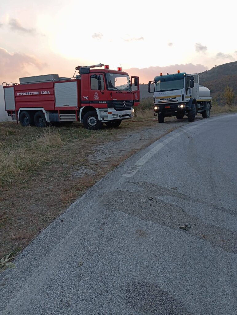 Εικόνα άρθρου