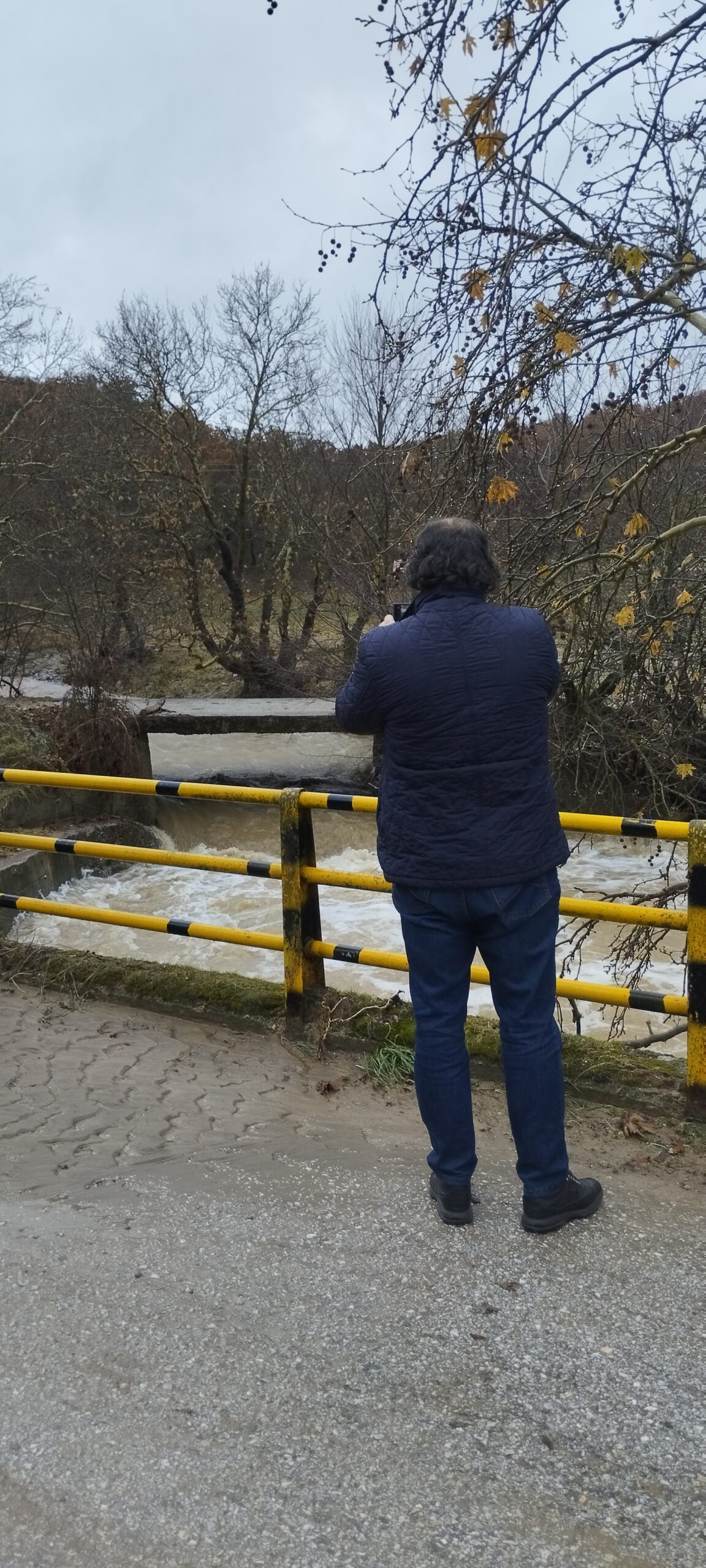 Taskas Faraggi (2)