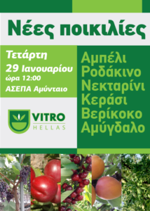 Εικόνα άρθρου