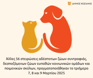 Εικόνα άρθρου