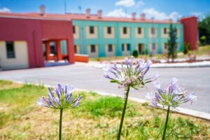 Εικόνα άρθρου