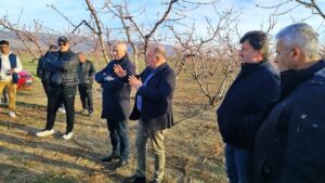 Εικόνα άρθρου