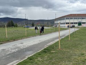 Εικόνα άρθρου