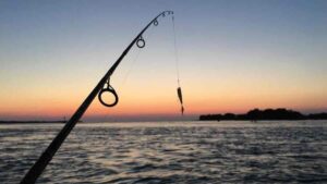 Εικόνα άρθρου