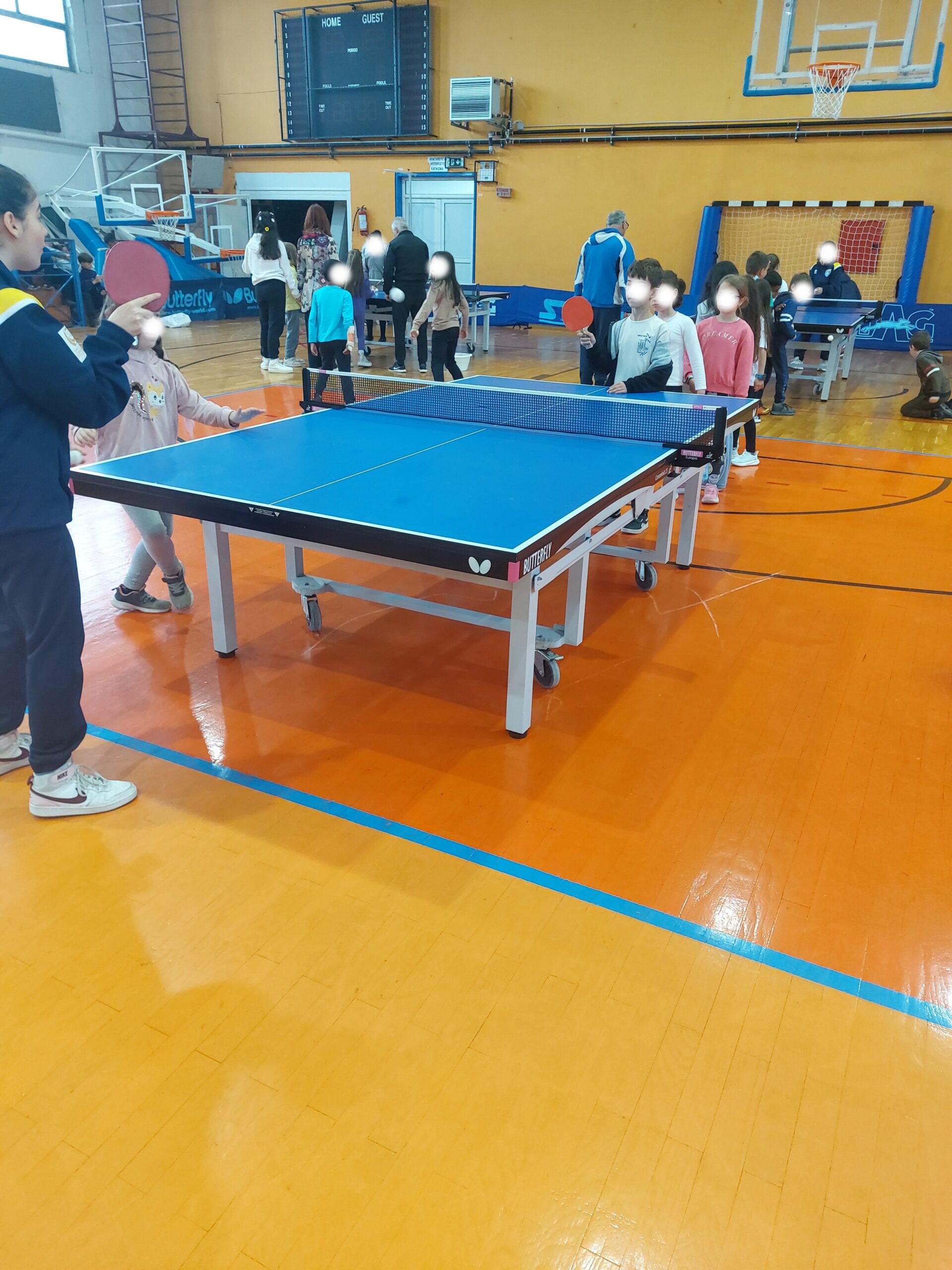 Pingk Pongk Gia Olous Florina (2)