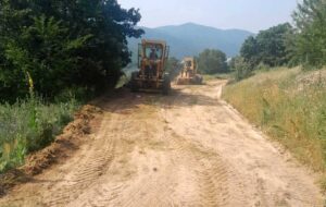 Εικόνα άρθρου