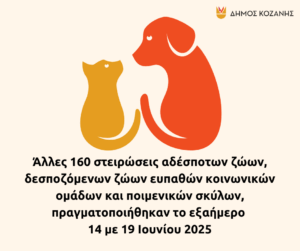 Εικόνα άρθρου