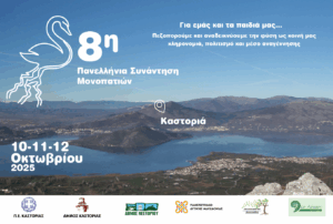 Εικόνα άρθρου