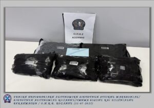 Εικόνα άρθρου