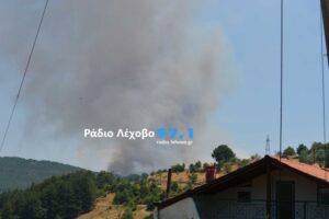 Εικόνα άρθρου
