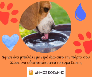 Εικόνα άρθρου