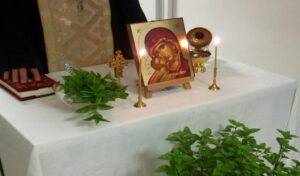 Εικόνα άρθρου