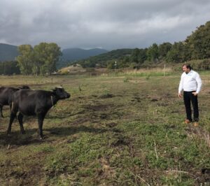 Εικόνα άρθρου