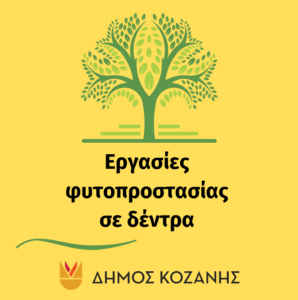 Εικόνα άρθρου