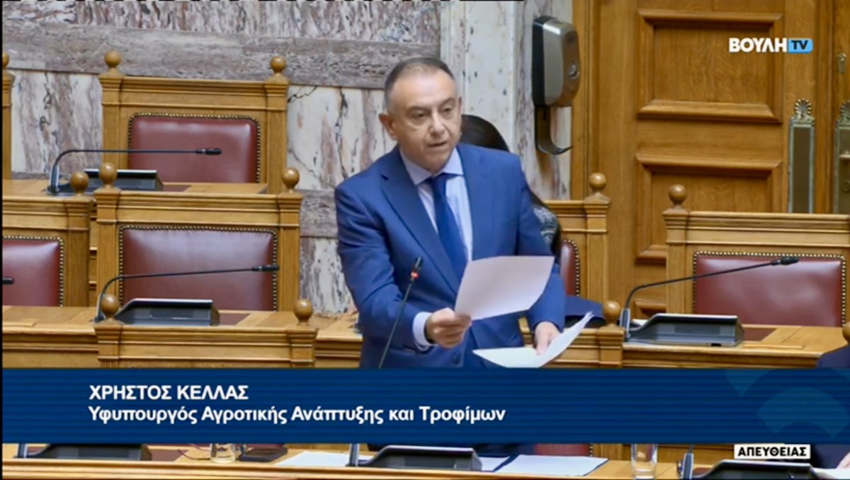 Εικόνα άρθρου Screenshot