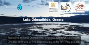 Εικόνα άρθρου