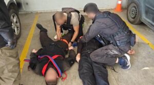 Εικόνα άρθρου